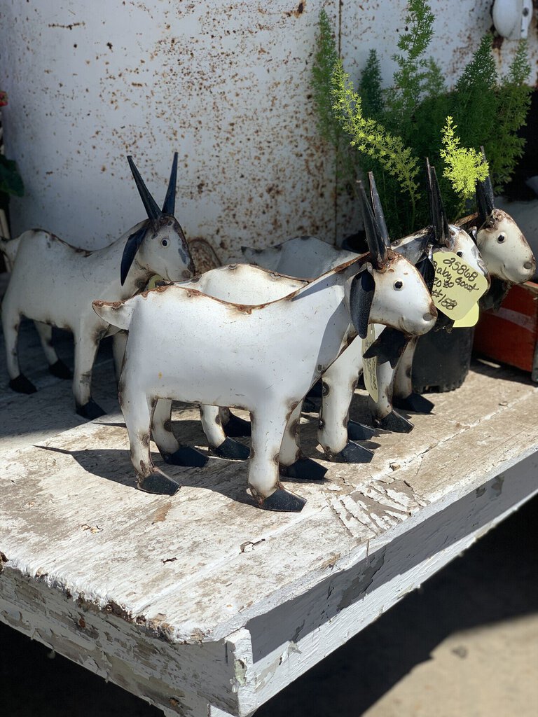 METAL BABY BILLY GOAT