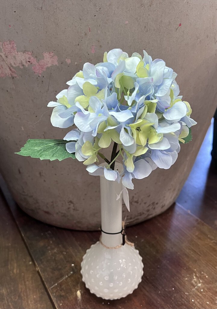HYDRANGEA