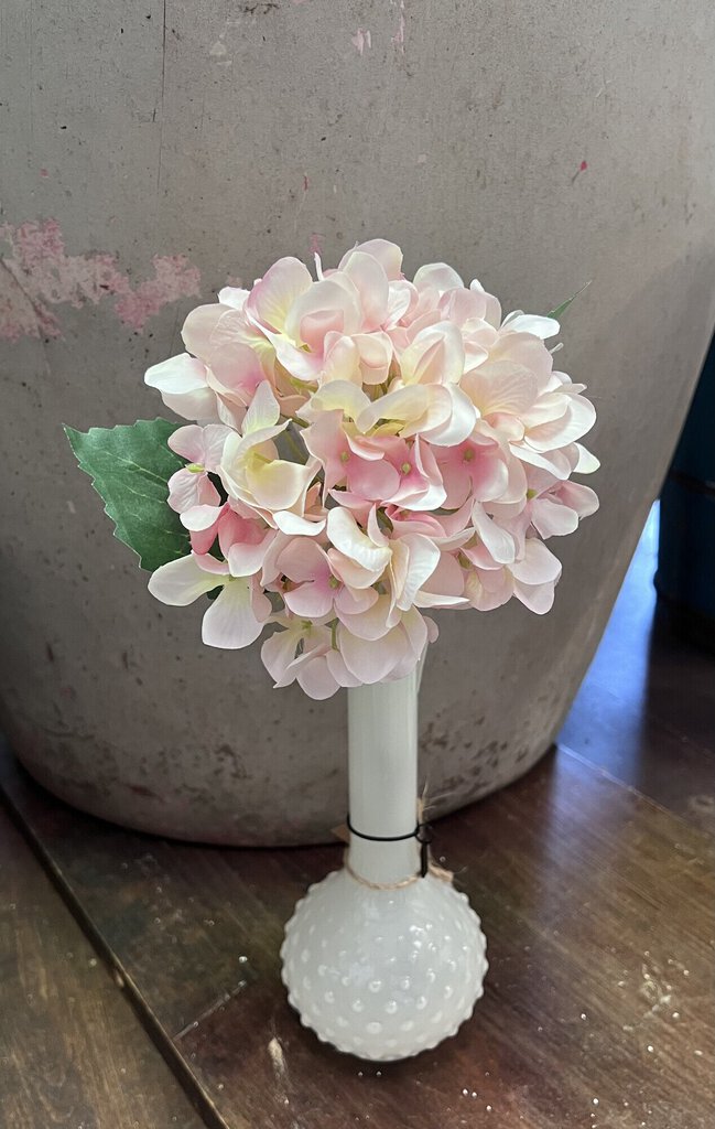 HYDRANGEA