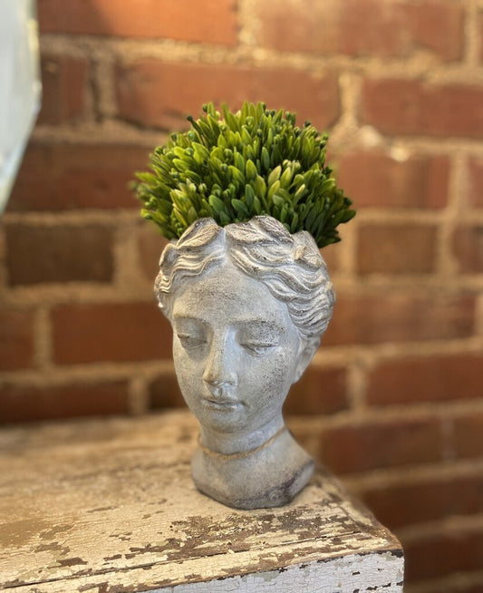 SEED HEAD HALF SPHERE