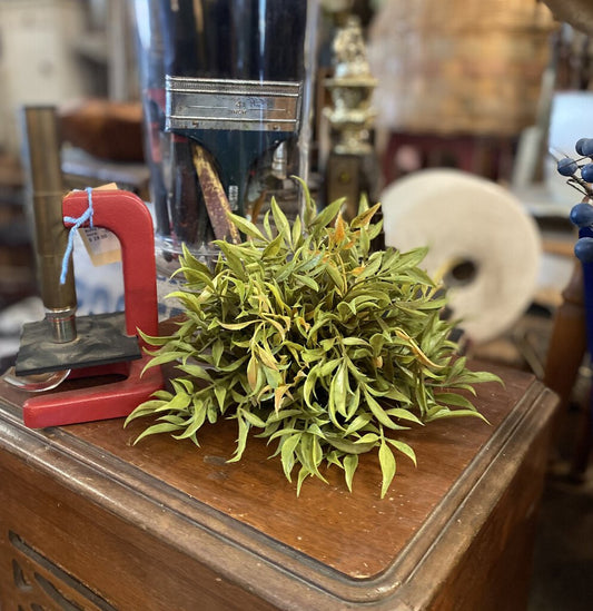 SMILAX HALF SPHERE