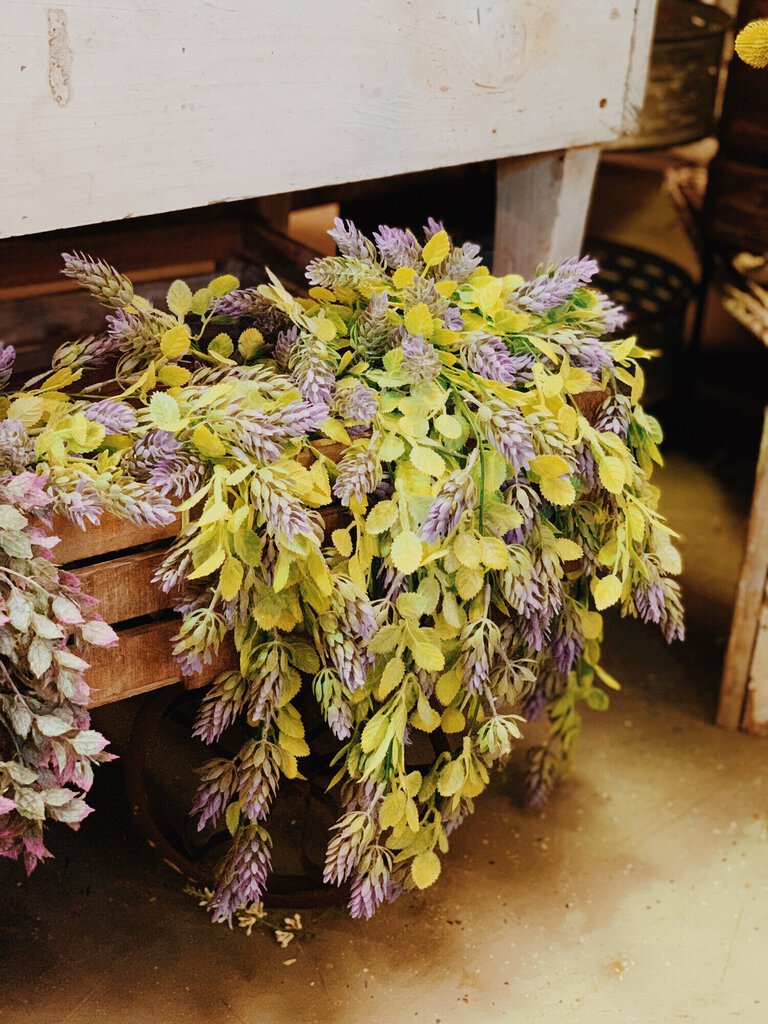 DRAPING LAVENDER HOPS