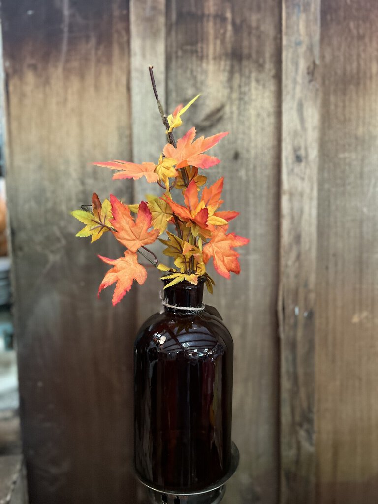 Maple Pick
