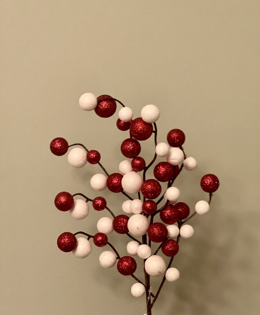 GLITTER STEM