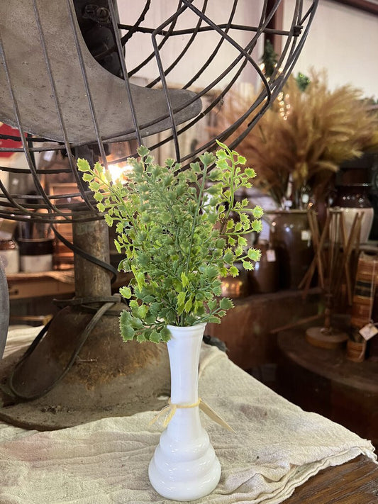 MAIDENHAIR FERN PICK