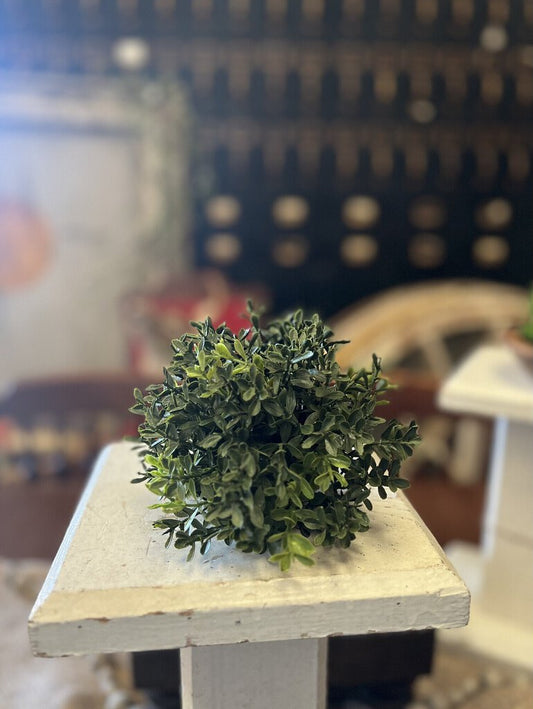 NEW ENGLAND BOXWOOD HALF SPHERE