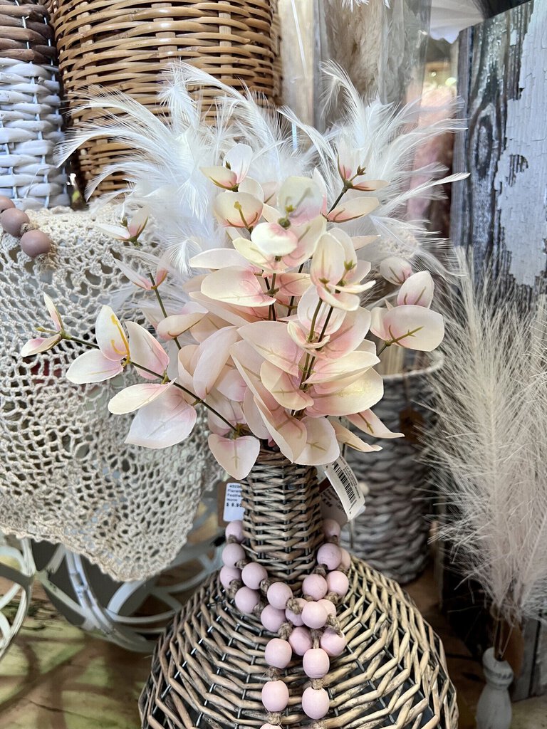 BLUSHING EUCALYPTUS