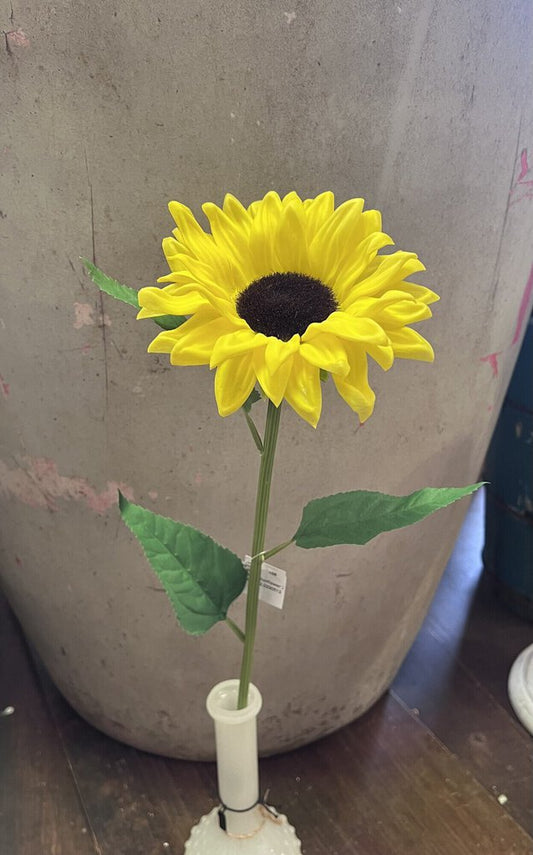FOAMY SUNFLOWER