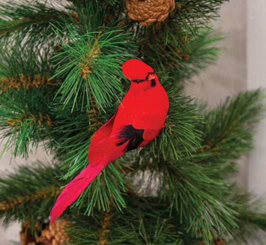 VELVET CARDINAL CLIP