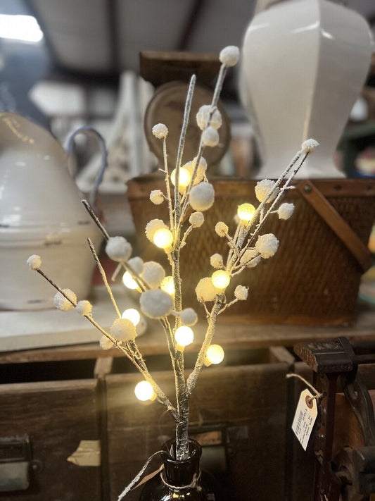 SNOWBALL BRANCH STEM