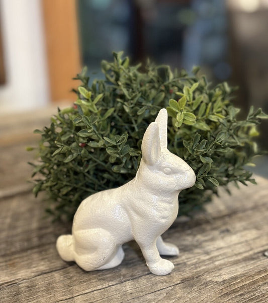 IRON RABBIT