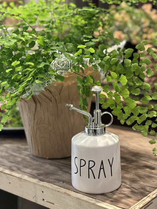 PLANT MISTER