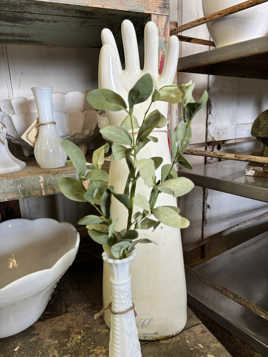 SAGE STEM