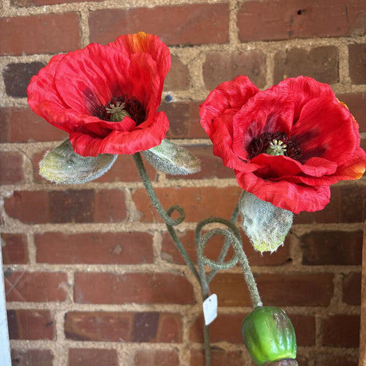 POPPY STEM