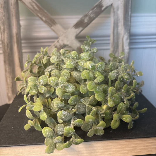 ICY EUCALYPTUS HALF SPHERE