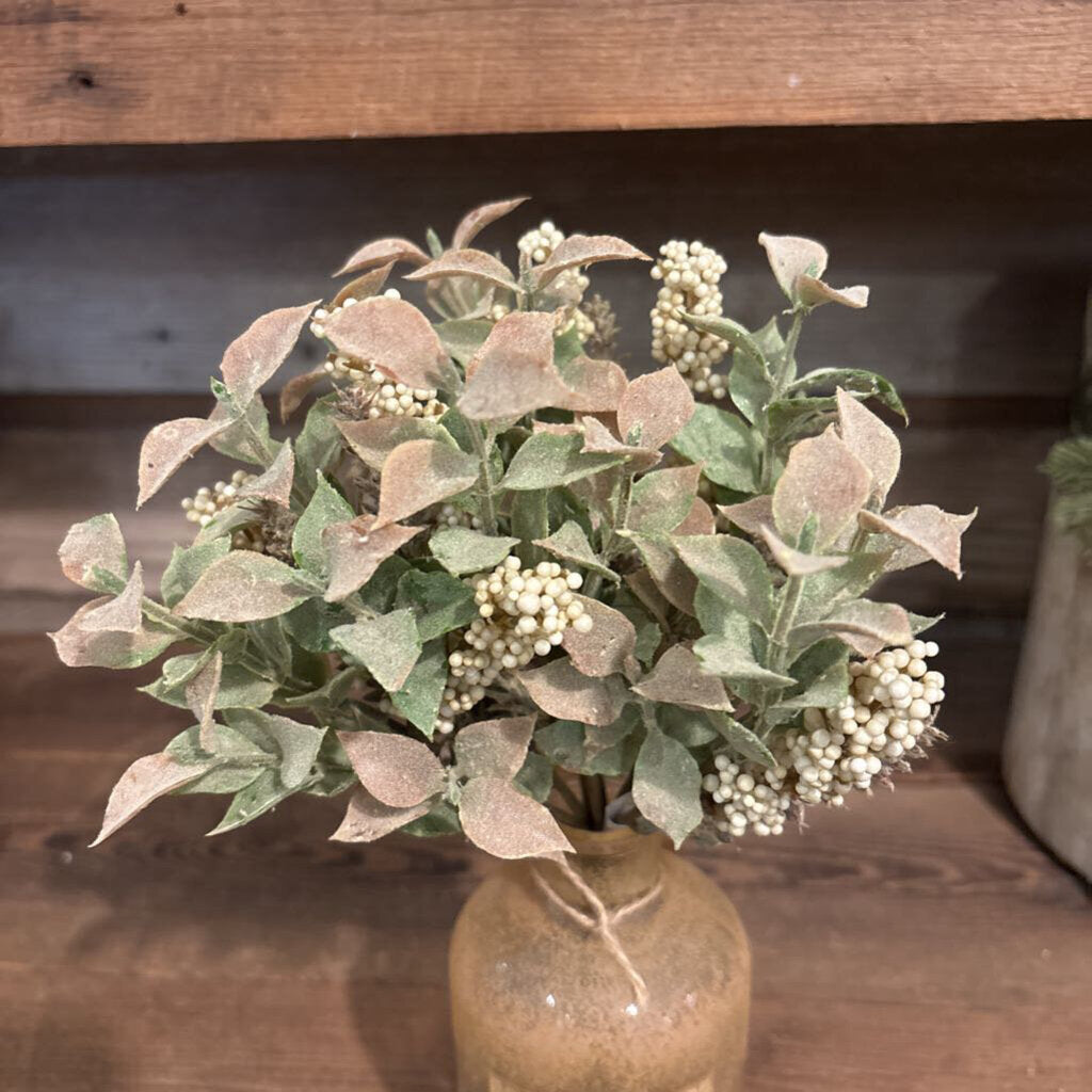 AUTUMN HERBS