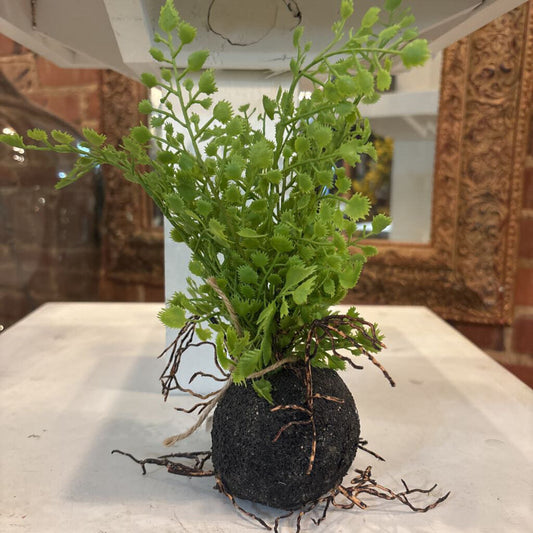 REAL FEEL ROOTED MAIDENHAIR FERN