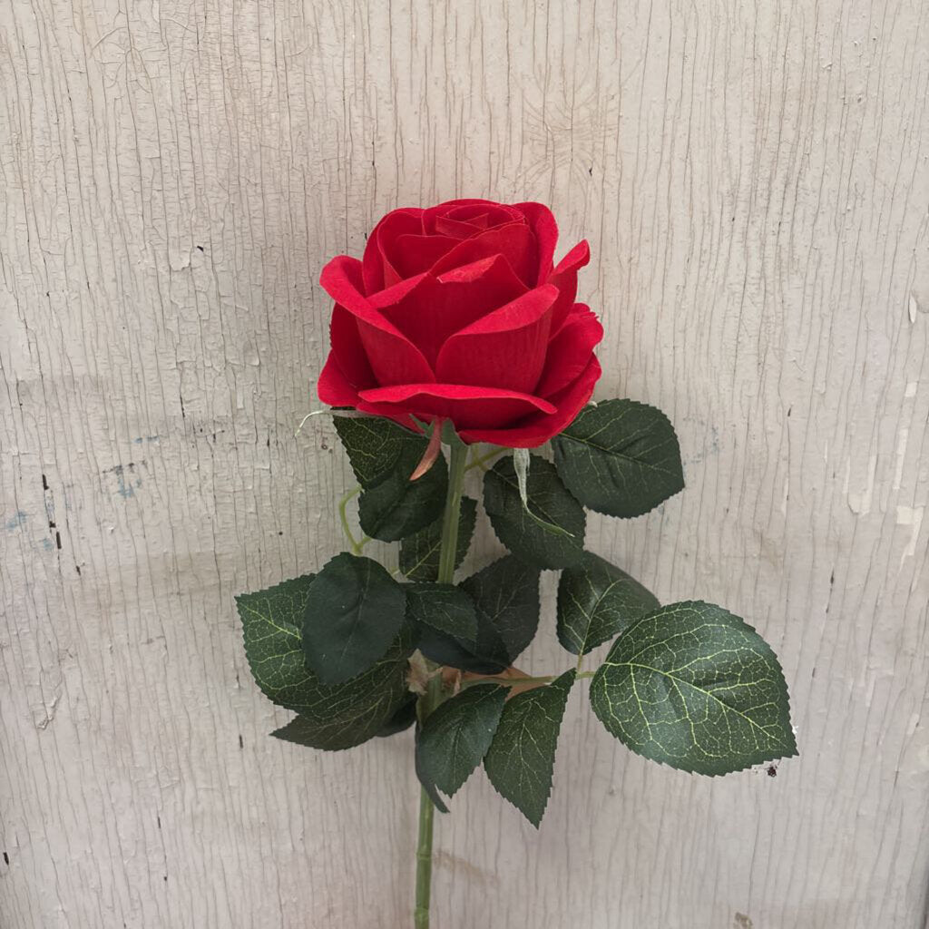 LONG STEM ROSE