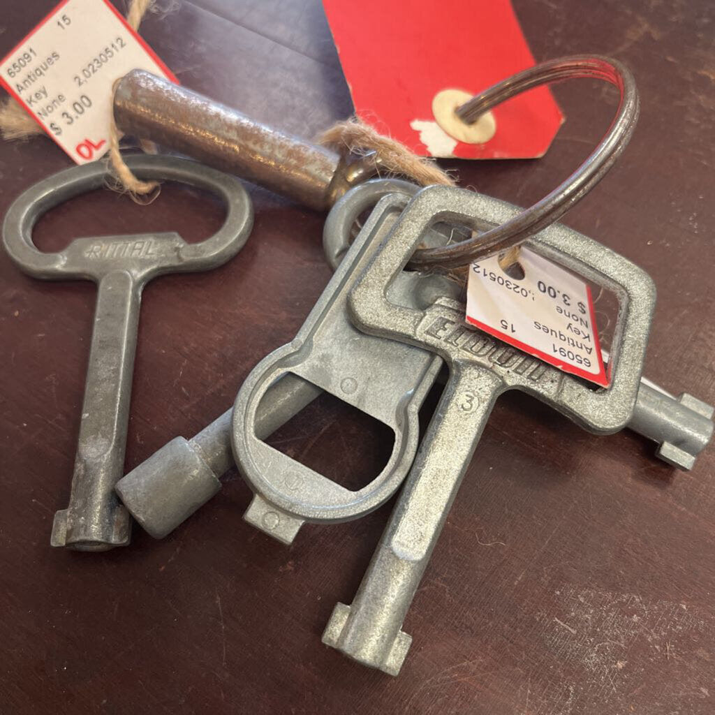 RITTAL ENCLOSURE PANEL KEY NO. 5 DOUBLE BIT