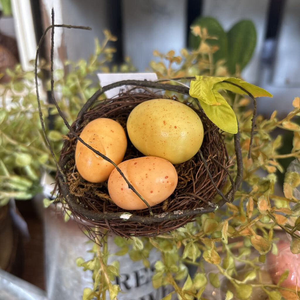 BIRDNEST STEM WITH EGGS PICK