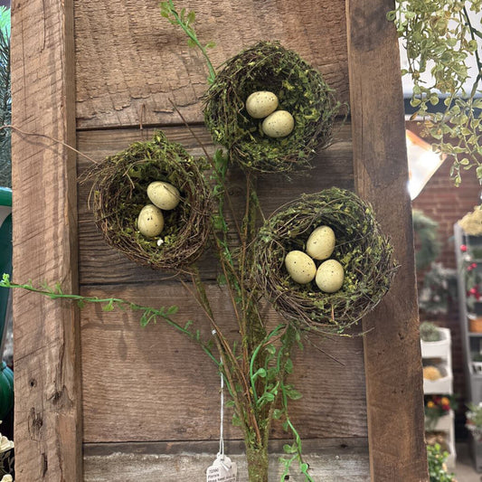 MOSS NEST AND EGG STEM