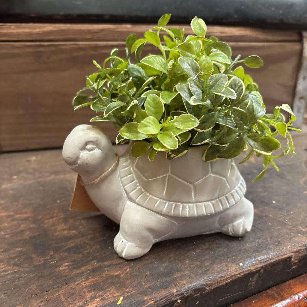 CEMENT PLANTER