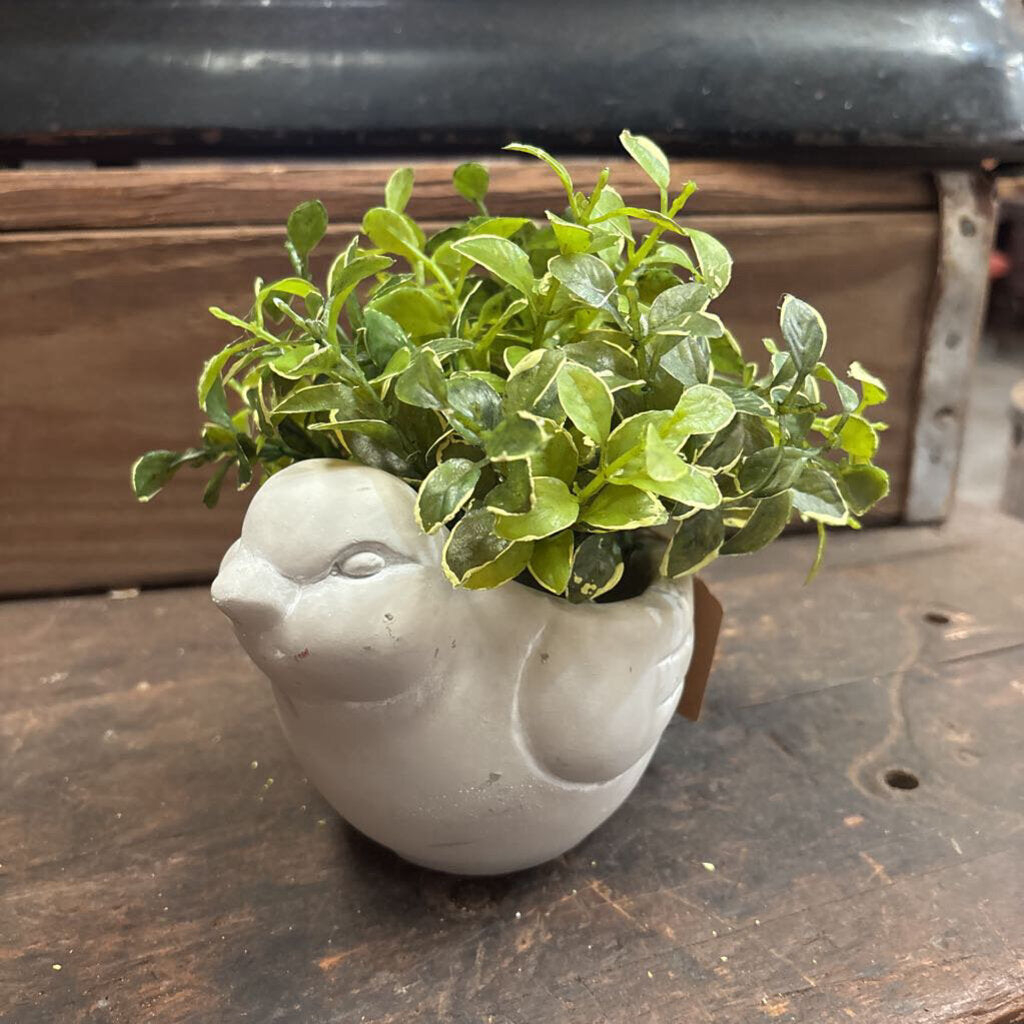 CEMENT PLANTER