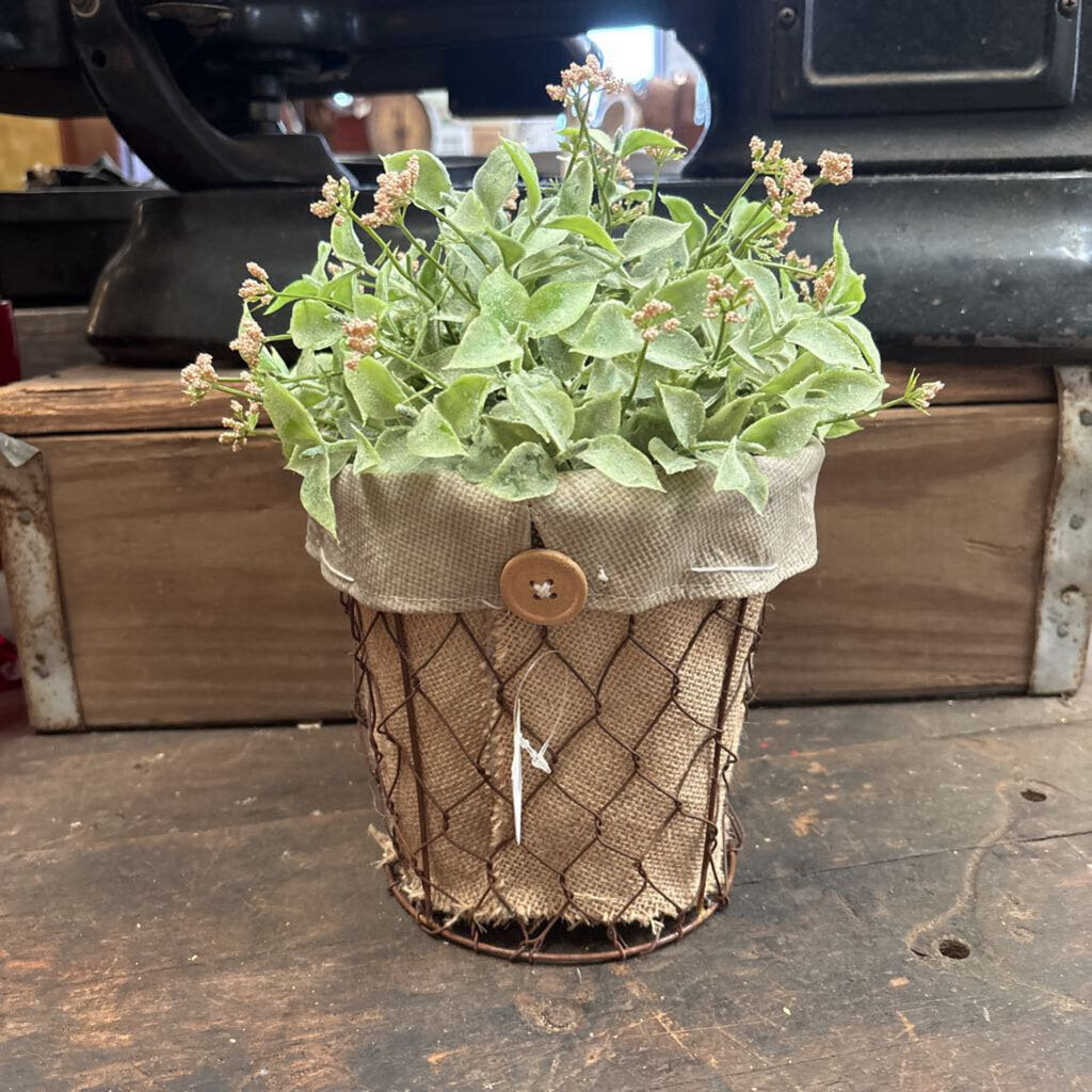 CHICKEN WIRE AND BURLAP PLANTER