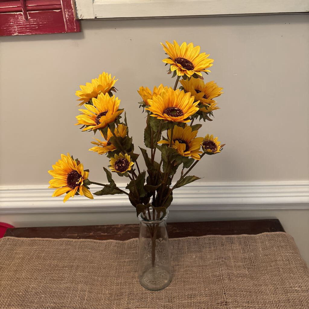 SUNFLOWERS