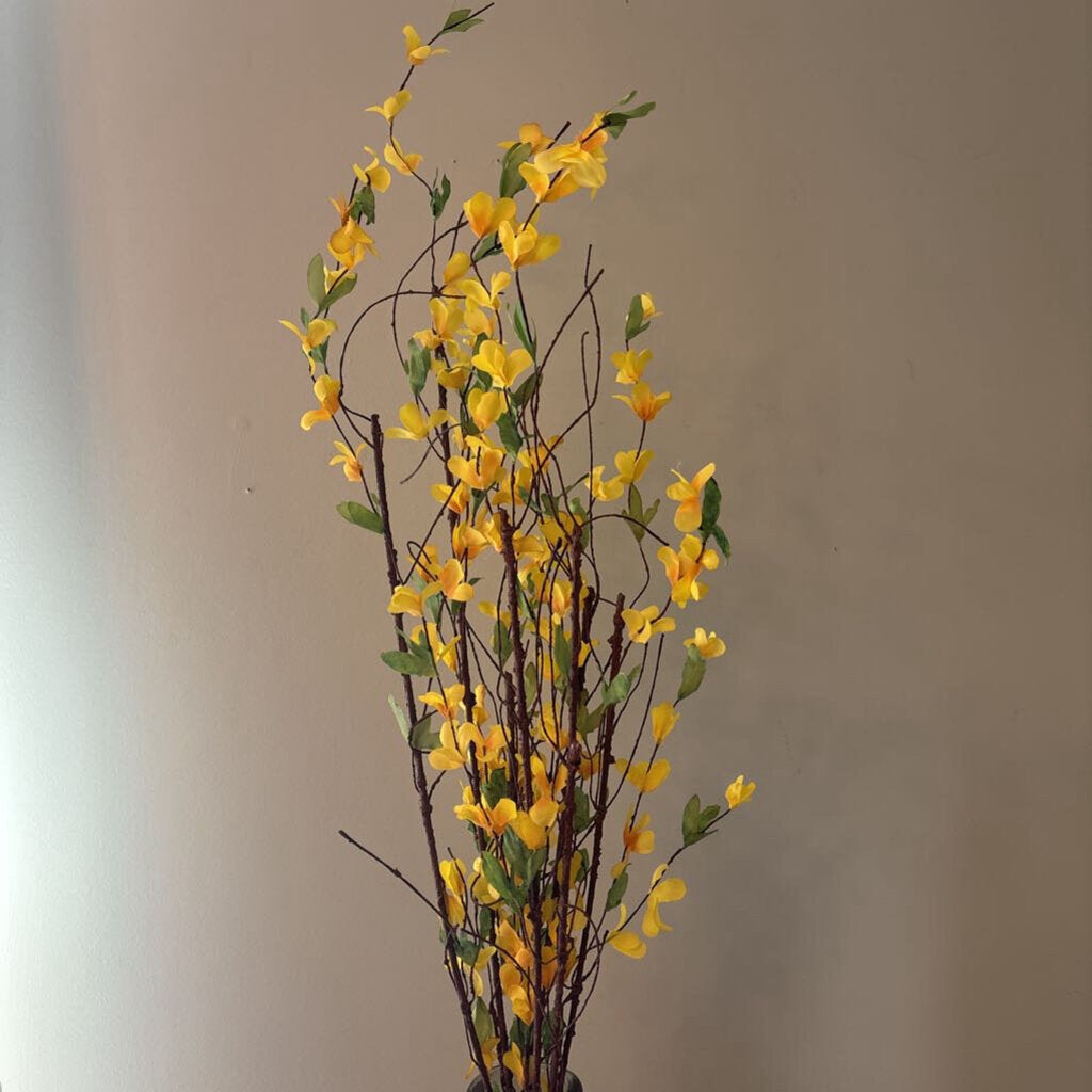 FORSYTHIA