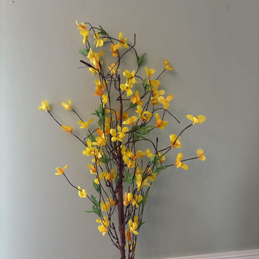 FORSYTHIA