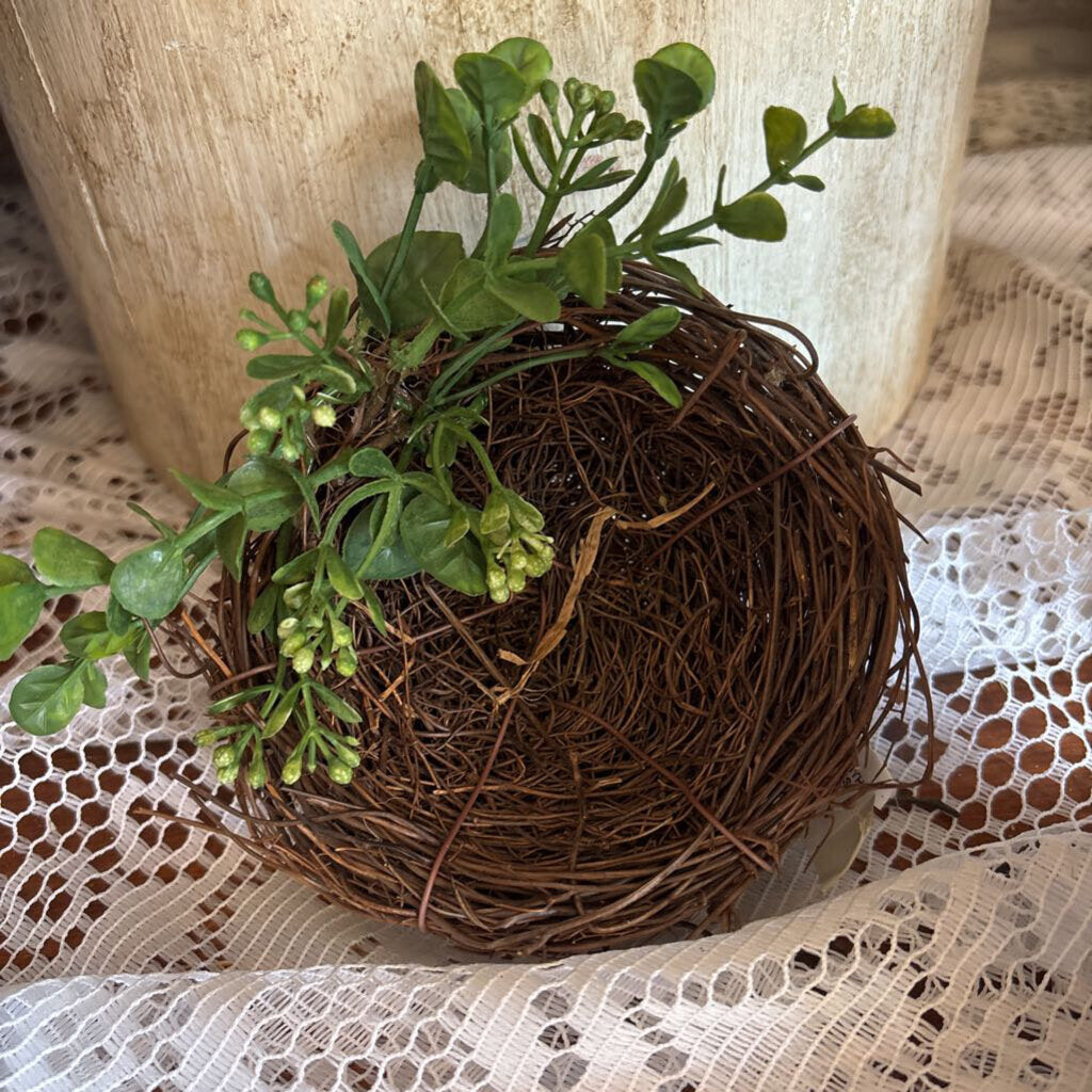 BIRDNEST WITH EUCALYPTUS