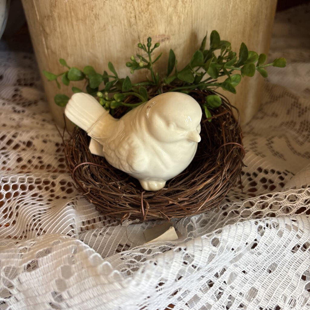 BIRDNEST WITH EUCALYPTUS
