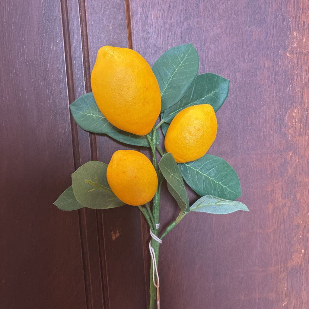 LEAFY LEMON STEM