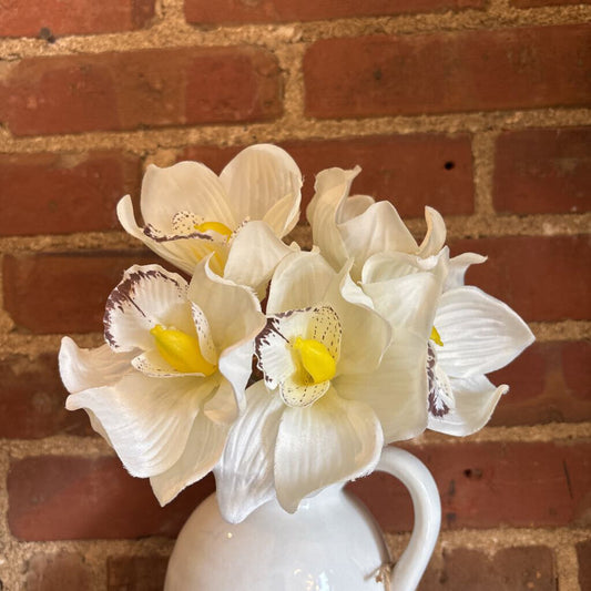 CYMBIDUM ORCHID