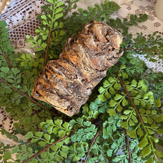 PALM BARK