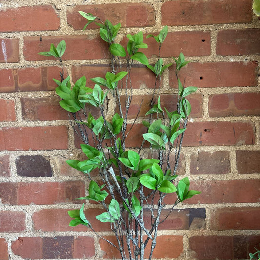 TWIG AND LEAVES STEM
