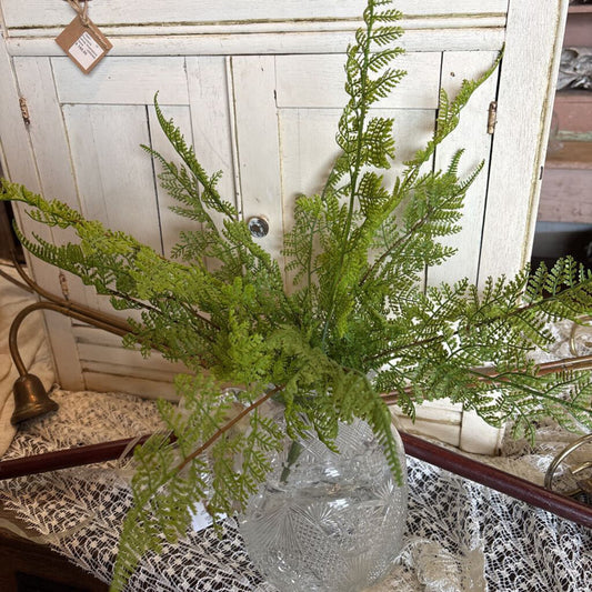 SOFT TOUCH LACE FERN