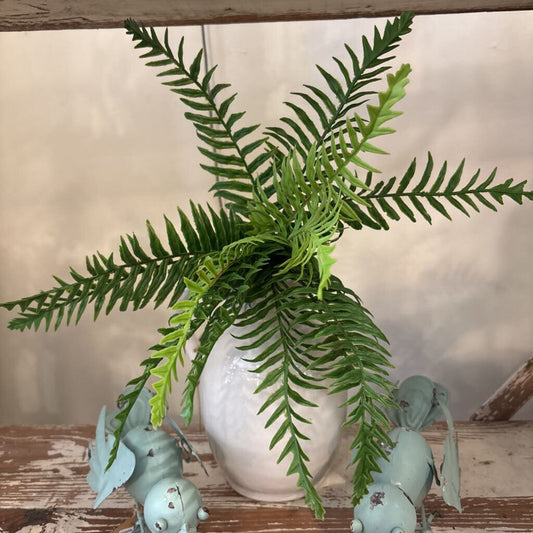 SOFT TOUCH FERN