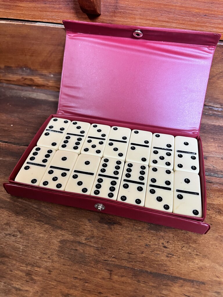 DOMINOES IN CASE