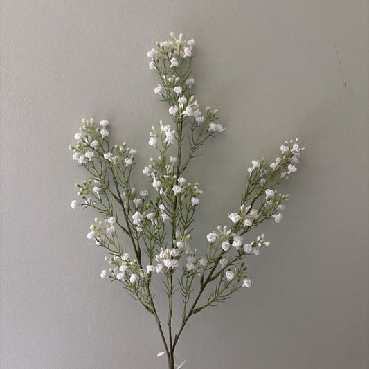 WHISPY BABY'S BREATH