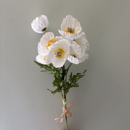 GARDEN POPPIES BUNDLE