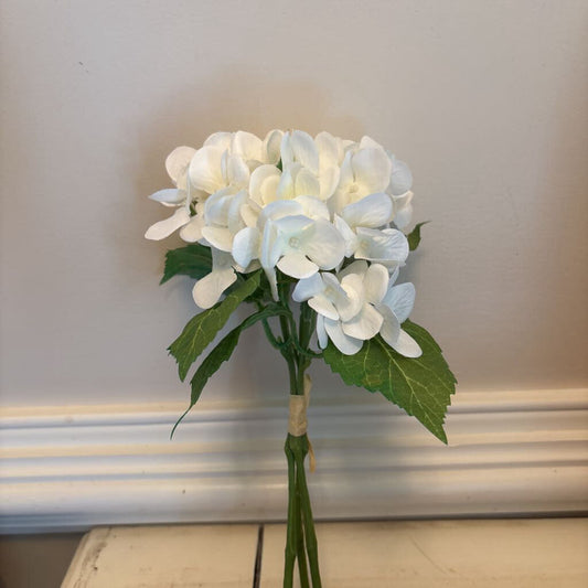 HYDRANGEA BUNDLE