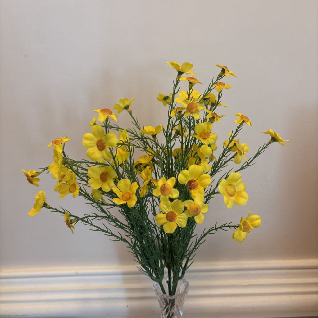 BUTTERCUP AND DILL BUSH