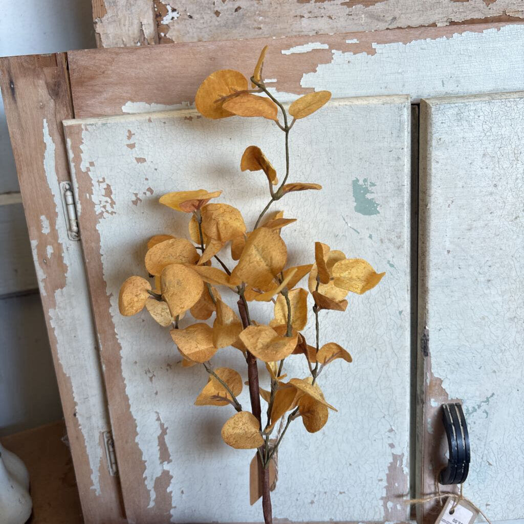 PENNY LEAF STEM