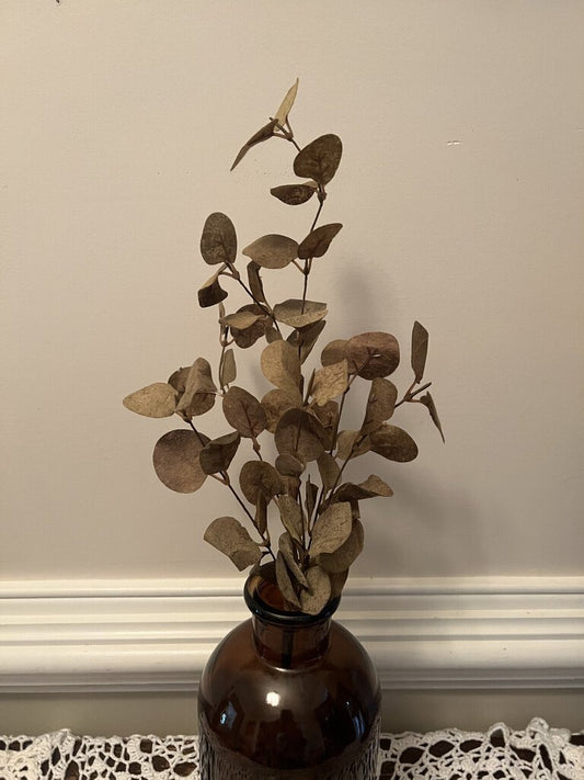 PENNY LEAF STEM