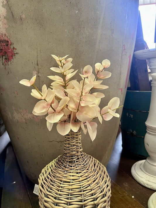 BLUSHING EUCALYPTUS