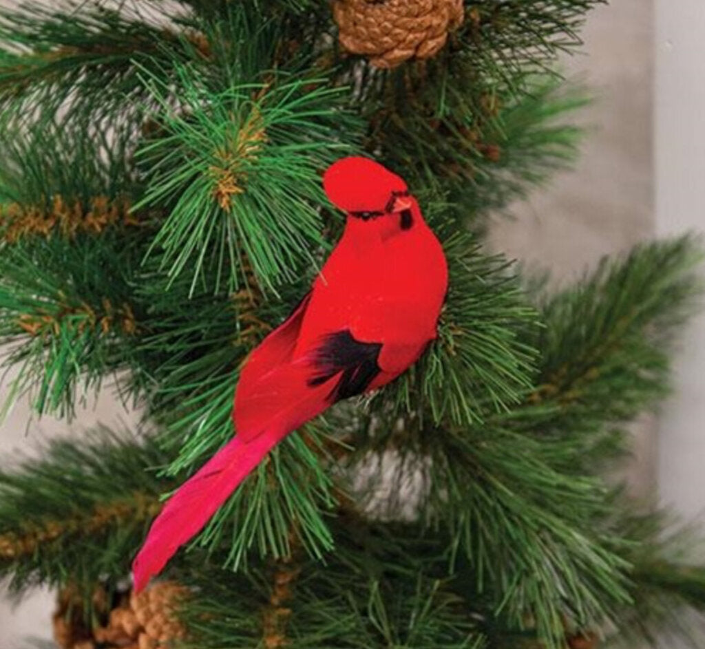 VELVET CARDINAL CLIP