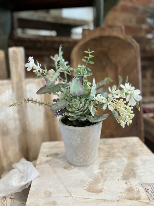 CEMENT POTTED FLORAL