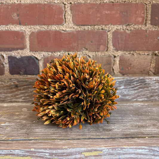 BLAZING SEED HEAD